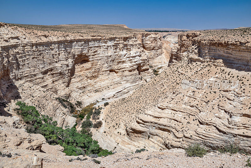 以色列Ein Avdat国家公园。从上面看。